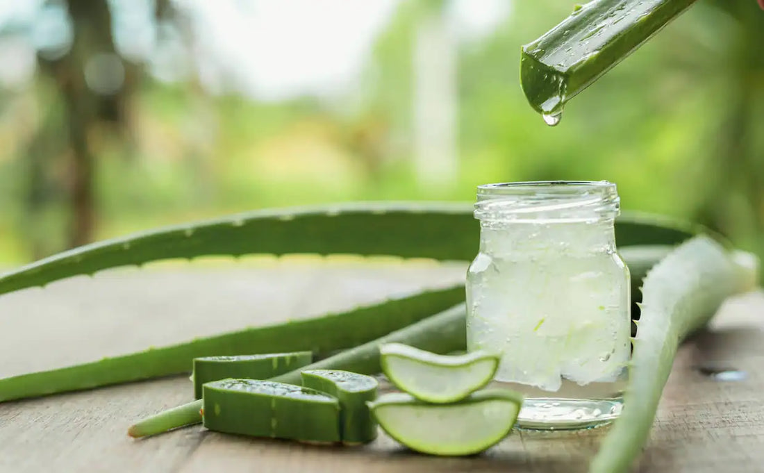 Beneficios del ALOE VERA para tu piel