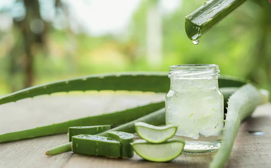 Beneficios del ALOE VERA para tu piel
